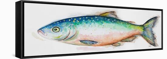 Watercolor Fish I-Patrcia Pinto-Framed Stretched Canvas