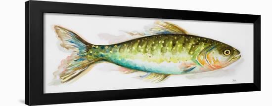 Watercolor Fish II-Patricia Pinto-Framed Art Print