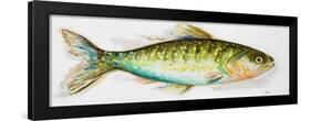 Watercolor Fish II-Patricia Pinto-Framed Art Print