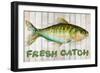 Watercolor Fish on Wood II-Patricia Pinto-Framed Art Print