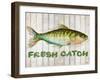 Watercolor Fish on Wood II-Patrcia Pinto-Framed Art Print