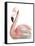 Watercolor Flamingo-Naomi McCavitt-Framed Stretched Canvas