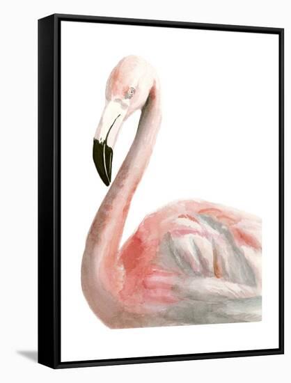 Watercolor Flamingo-Naomi McCavitt-Framed Stretched Canvas