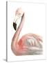 Watercolor Flamingo-Naomi McCavitt-Stretched Canvas