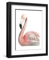 Watercolor Flamingo-Naomi McCavitt-Framed Art Print