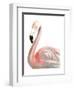 Watercolor Flamingo-Naomi McCavitt-Framed Art Print