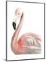 Watercolor Flamingo-Naomi McCavitt-Mounted Art Print