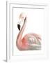 Watercolor Flamingo-Naomi McCavitt-Framed Art Print