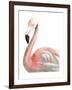 Watercolor Flamingo-Naomi McCavitt-Framed Art Print