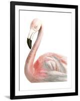 Watercolor Flamingo-Naomi McCavitt-Framed Art Print