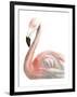 Watercolor Flamingo-Naomi McCavitt-Framed Art Print