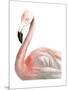 Watercolor Flamingo-Naomi McCavitt-Mounted Art Print