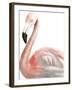 Watercolor Flamingo-Naomi McCavitt-Framed Art Print