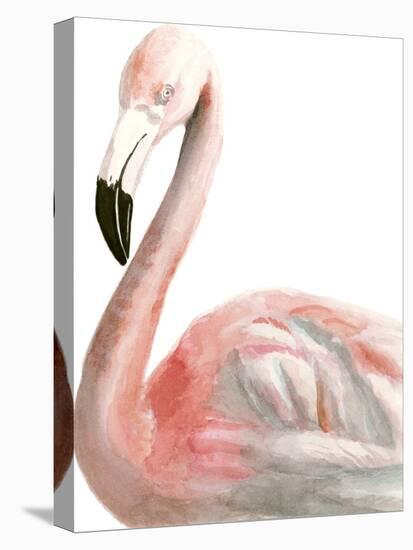 Watercolor Flamingo-Naomi McCavitt-Stretched Canvas