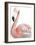 Watercolor Flamingo-Naomi McCavitt-Framed Art Print