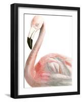 Watercolor Flamingo-Naomi McCavitt-Framed Art Print