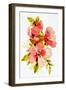 Watercolor Floral 2-Kimberly Allen-Framed Art Print