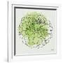 Watercolor Floral I-Moira Hershey-Framed Art Print