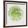 Watercolor Floral I-Moira Hershey-Framed Art Print