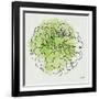 Watercolor Floral I-Moira Hershey-Framed Art Print