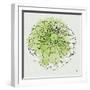 Watercolor Floral I-Moira Hershey-Framed Art Print