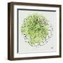 Watercolor Floral I-Moira Hershey-Framed Art Print