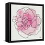 Watercolor Floral III-Moira Hershey-Framed Stretched Canvas