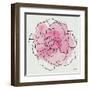 Watercolor Floral III-Moira Hershey-Framed Art Print