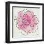 Watercolor Floral III-Moira Hershey-Framed Art Print