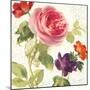 Watercolor Floral IV-Danhui Nai-Mounted Art Print
