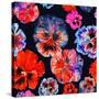 Watercolor Floral Pattern. Colorul Pansies Isolated on Dark Background. Red Blue Flowers-Firsart-Stretched Canvas