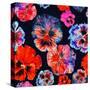 Watercolor Floral Pattern. Colorul Pansies Isolated on Dark Background. Red Blue Flowers-Firsart-Stretched Canvas