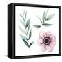 Watercolor Flowers Elements-Eisfrei-Framed Stretched Canvas