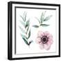 Watercolor Flowers Elements-Eisfrei-Framed Art Print