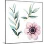 Watercolor Flowers Elements-Eisfrei-Mounted Art Print