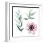 Watercolor Flowers Elements-Eisfrei-Framed Art Print