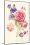 Watercolor Flowers II-Danhui Nai-Mounted Art Print