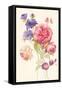 Watercolor Flowers II-Danhui Nai-Framed Stretched Canvas