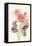 Watercolor Flowers III-Danhui Nai-Framed Stretched Canvas