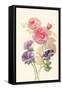 Watercolor Flowers III-Danhui Nai-Framed Stretched Canvas