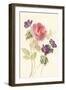 Watercolor Flowers IV-Danhui Nai-Framed Art Print