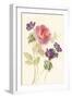 Watercolor Flowers IV-Danhui Nai-Framed Art Print