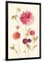 Watercolor Flowers V-Danhui Nai-Framed Art Print