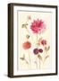 Watercolor Flowers V-Danhui Nai-Framed Art Print