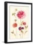 Watercolor Flowers V-Danhui Nai-Framed Art Print