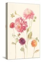 Watercolor Flowers VI-Danhui Nai-Stretched Canvas