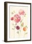 Watercolor Flowers VI-Danhui Nai-Framed Art Print