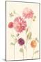 Watercolor Flowers VI-Danhui Nai-Mounted Art Print
