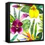 Watercolor Flowers-Monash-Framed Stretched Canvas