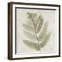 Watercolor Forest Ferns I-Albena Hristova-Framed Art Print